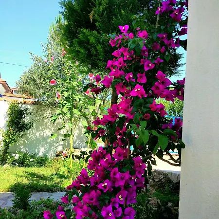 Noda (adults Only) Aparthotel Dalyan